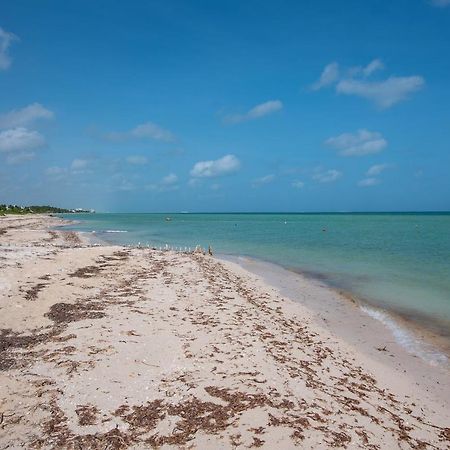 97982 New Modern Villa, Private Pool, High Internet Speed, 2 Blocks From The Beach Chicxulub Exterior foto