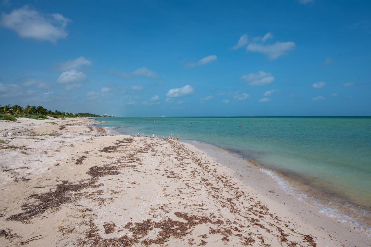 97982 New Modern Villa, Private Pool, High Internet Speed, 2 Blocks From The Beach Chicxulub Exterior foto