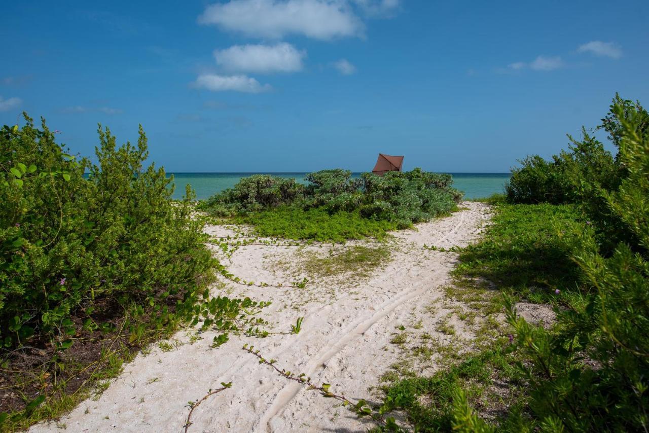 97982 New Modern Villa, Private Pool, High Internet Speed, 2 Blocks From The Beach Chicxulub Exterior foto